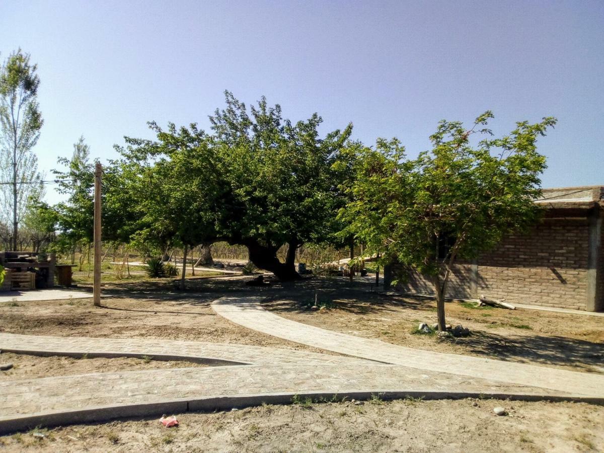 Cabanas De La Bodega Romano-Pin Albardón Exterior foto